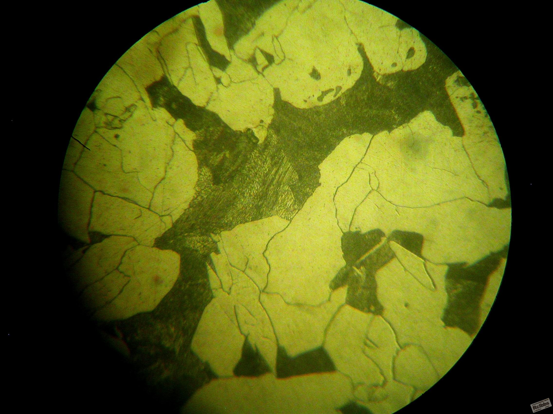 DSCN5910.JPG