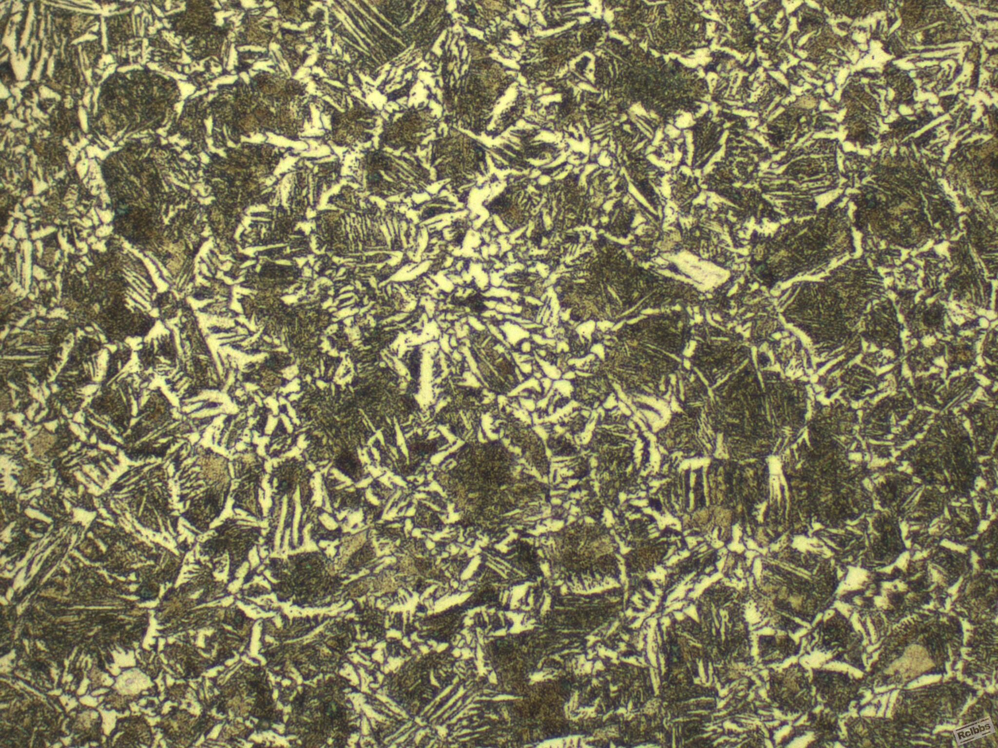 500X-42-1.jpg