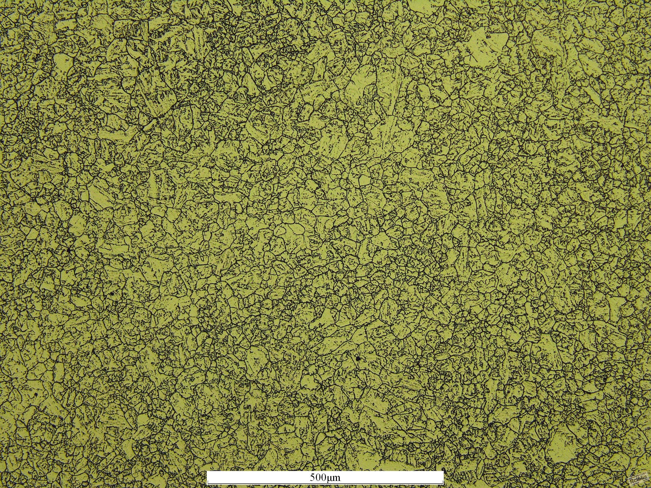 晶粒度100x2.JPG