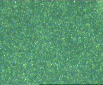 表面淬火组织500倍