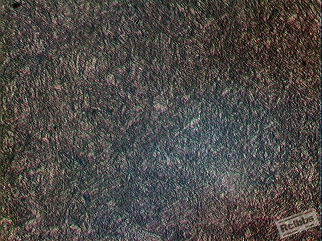 2012121112.JPG