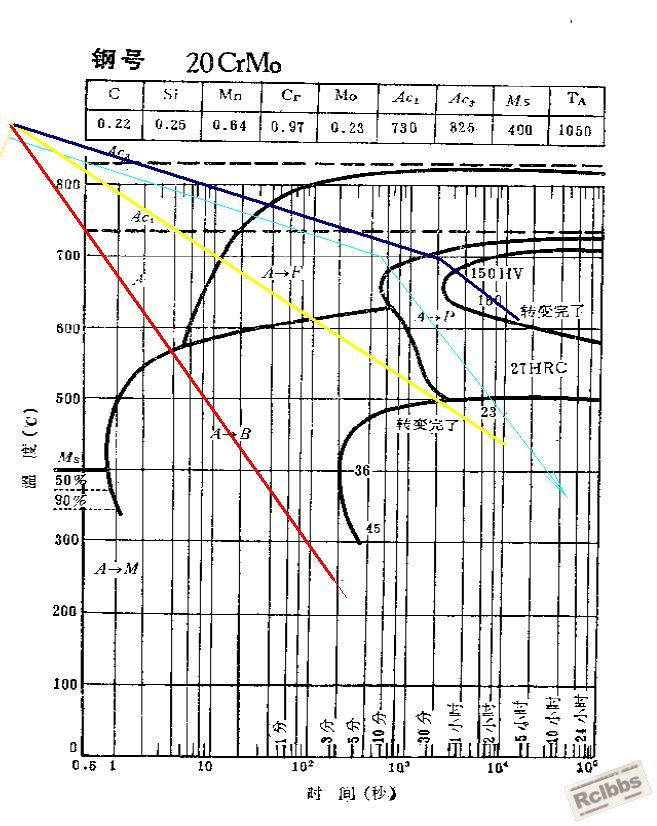 20CM.JPG