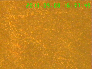 400倍-芯部