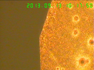 滚道与油沟交界处100X