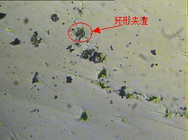 QQ截图20131108113813.jpg