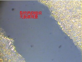 QQ截图20131108114134.jpg