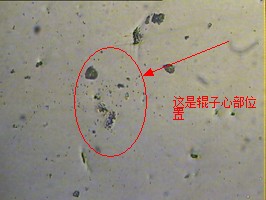 QQ截图20131108114317.jpg