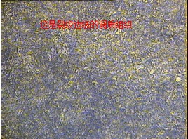 QQ截图20131108114422.jpg