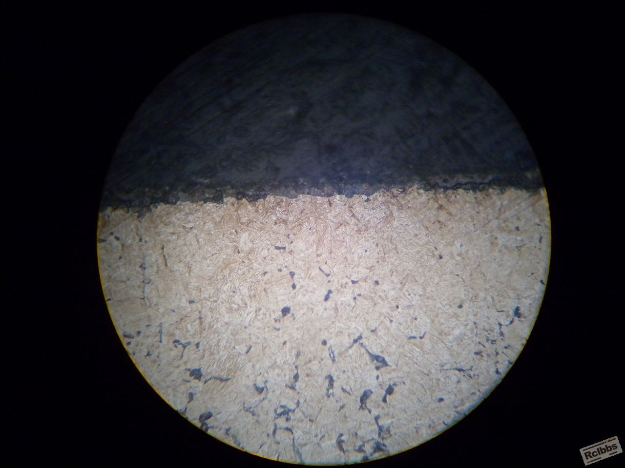 DSCN1558.JPG