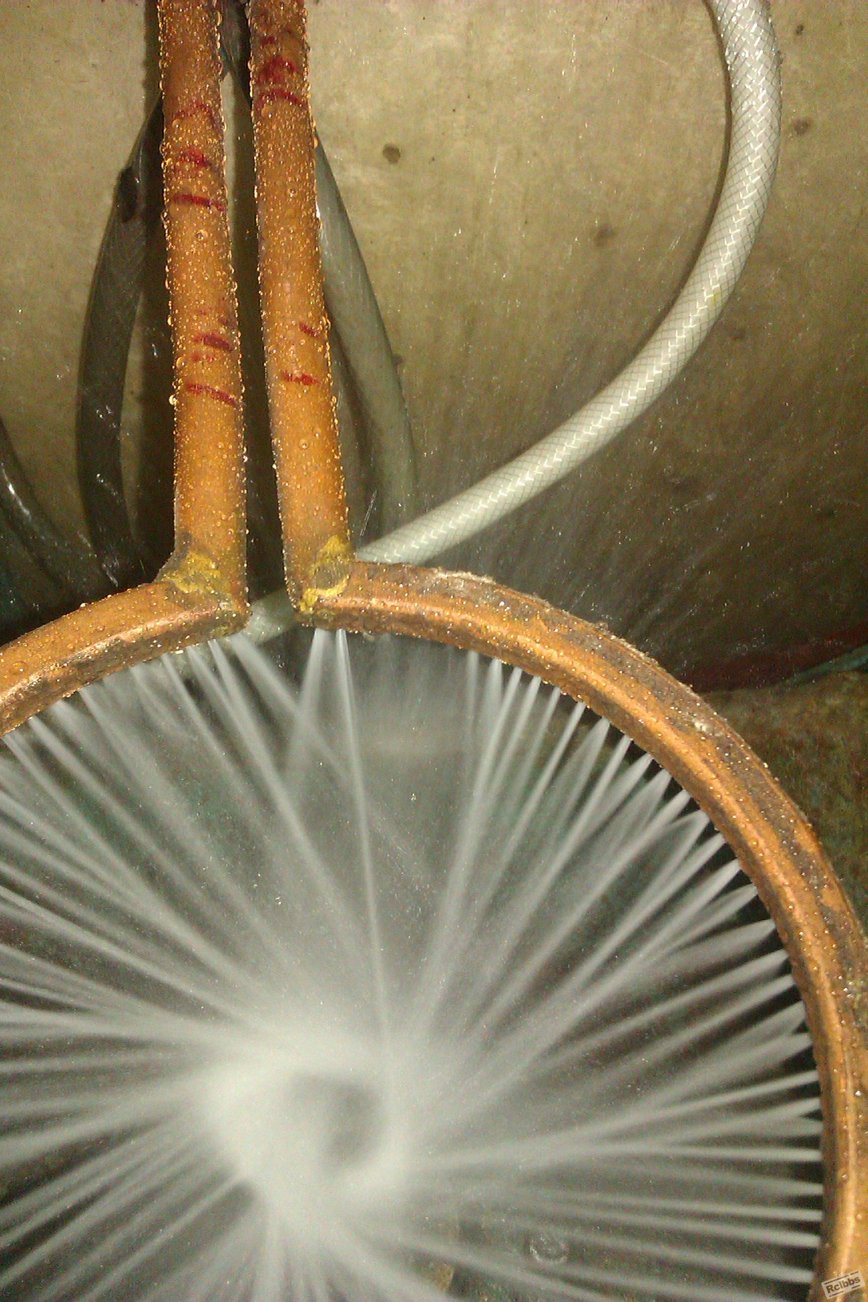 IMAG0252.jpg