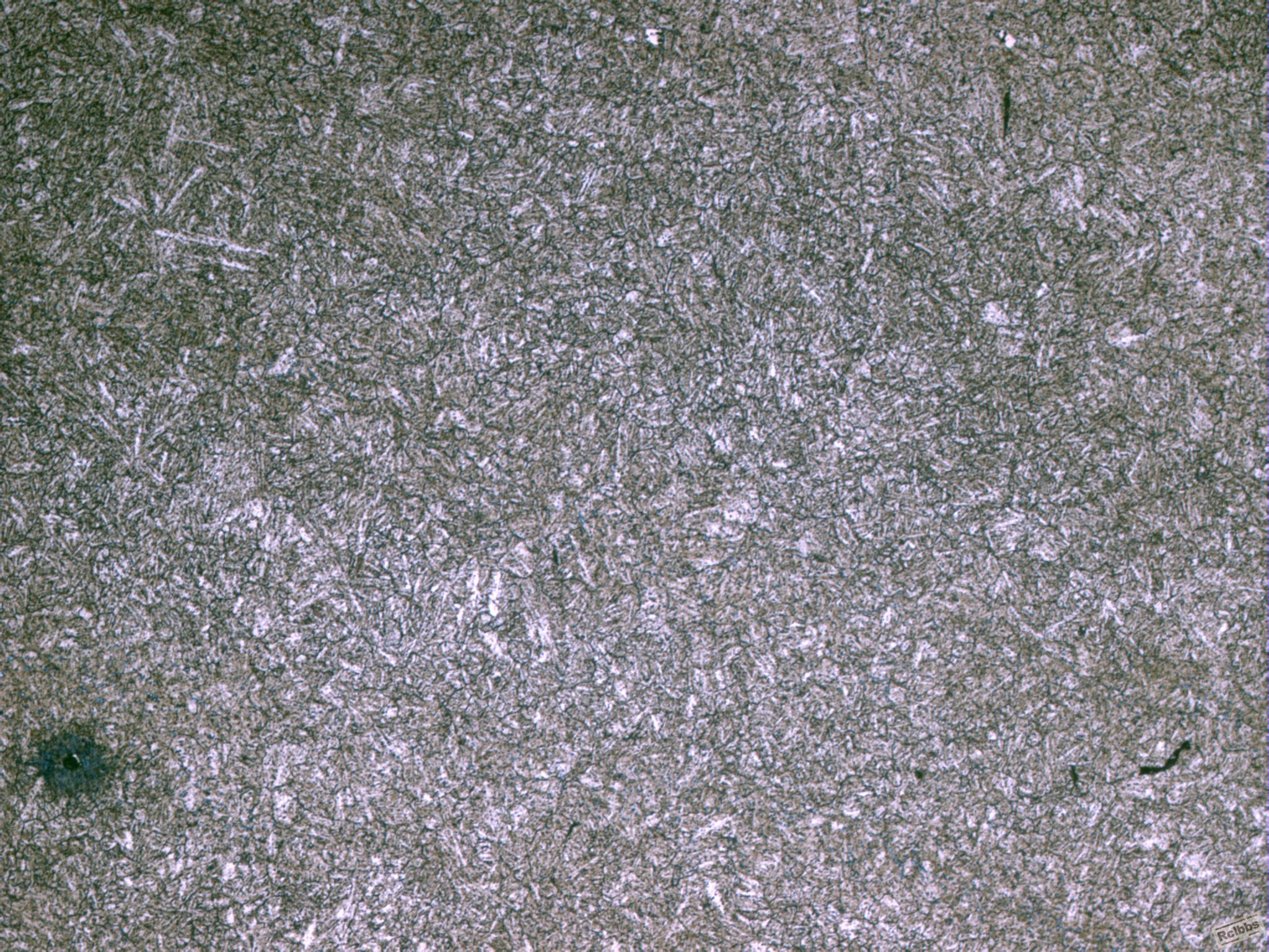 SS60-100x-2.JPG