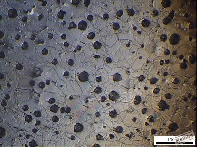 QT450-10铸态拉伸试棒  腐蚀3%Nital.JPG
