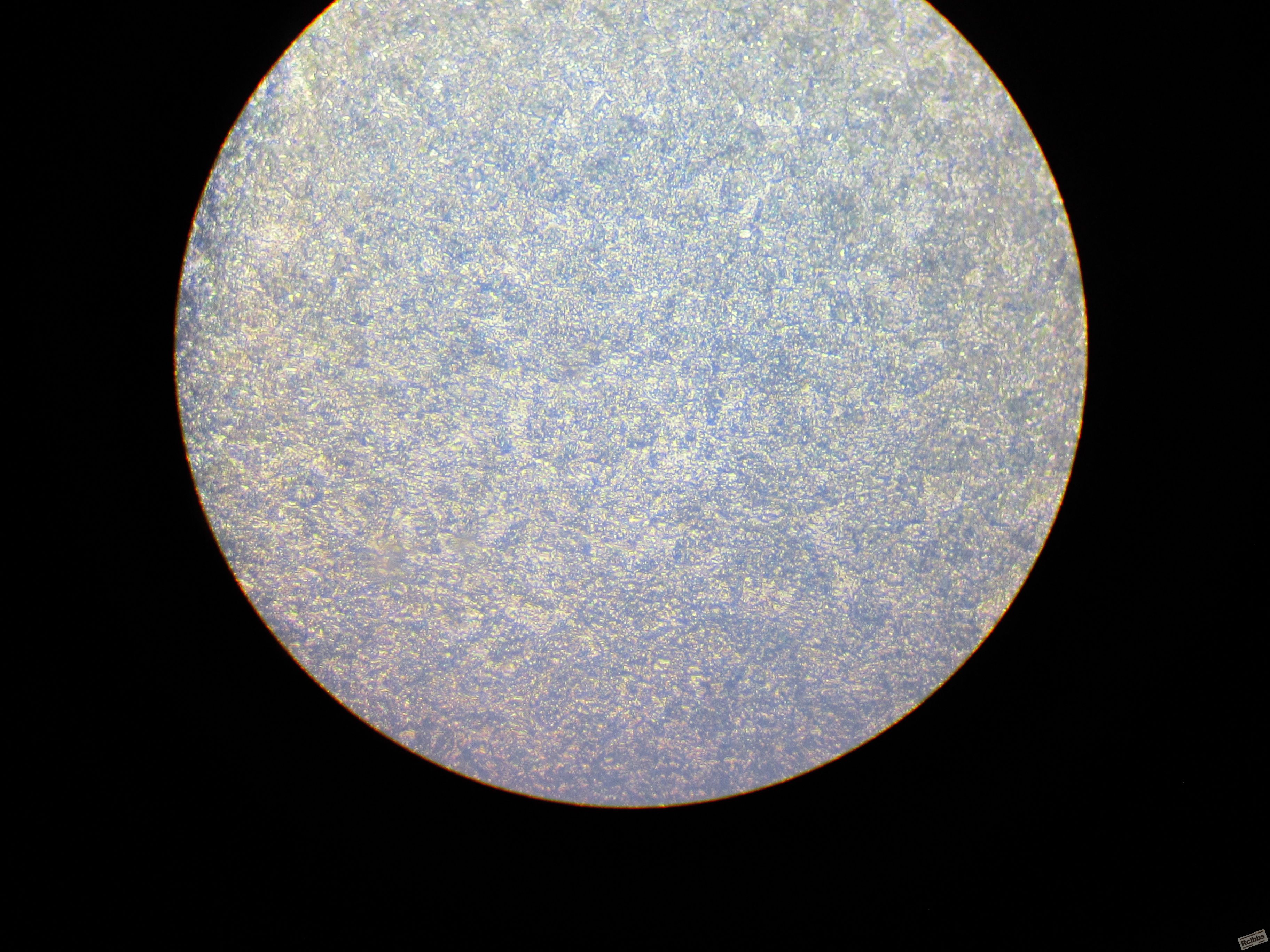 GC-11 淬火 回火 500X.JPG