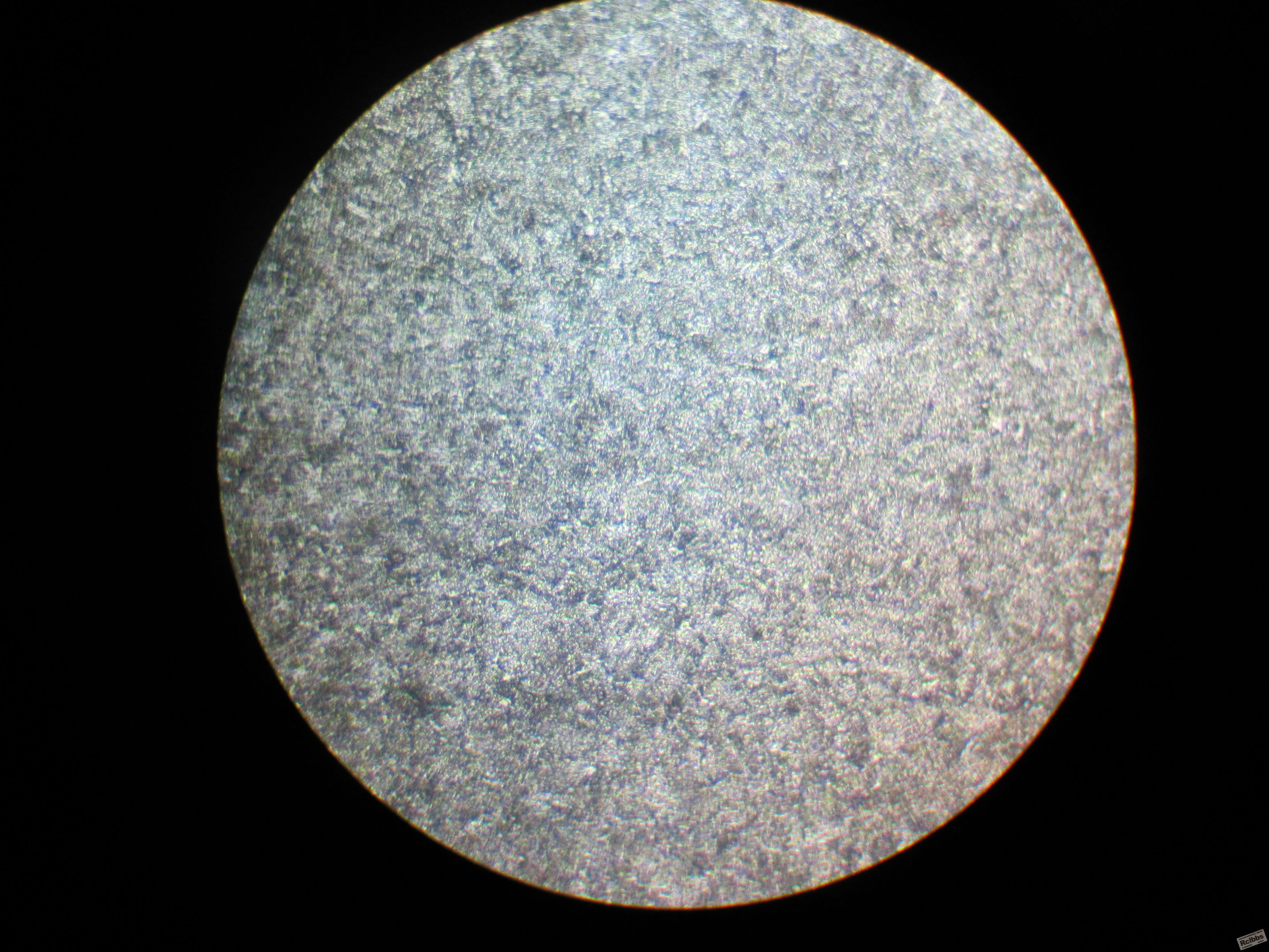 GC-11 正火 360回火 500X.JPG