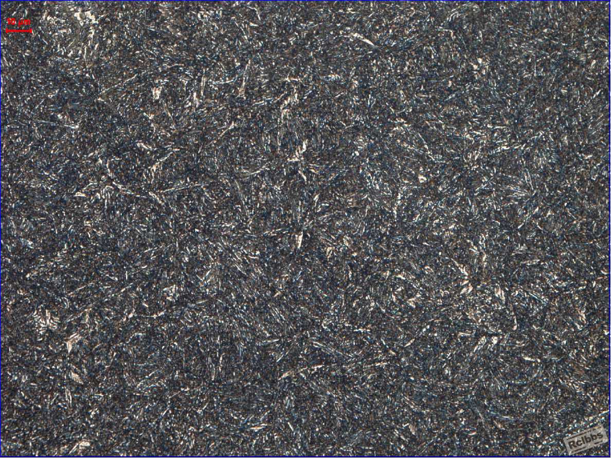 200X SK5.jpg