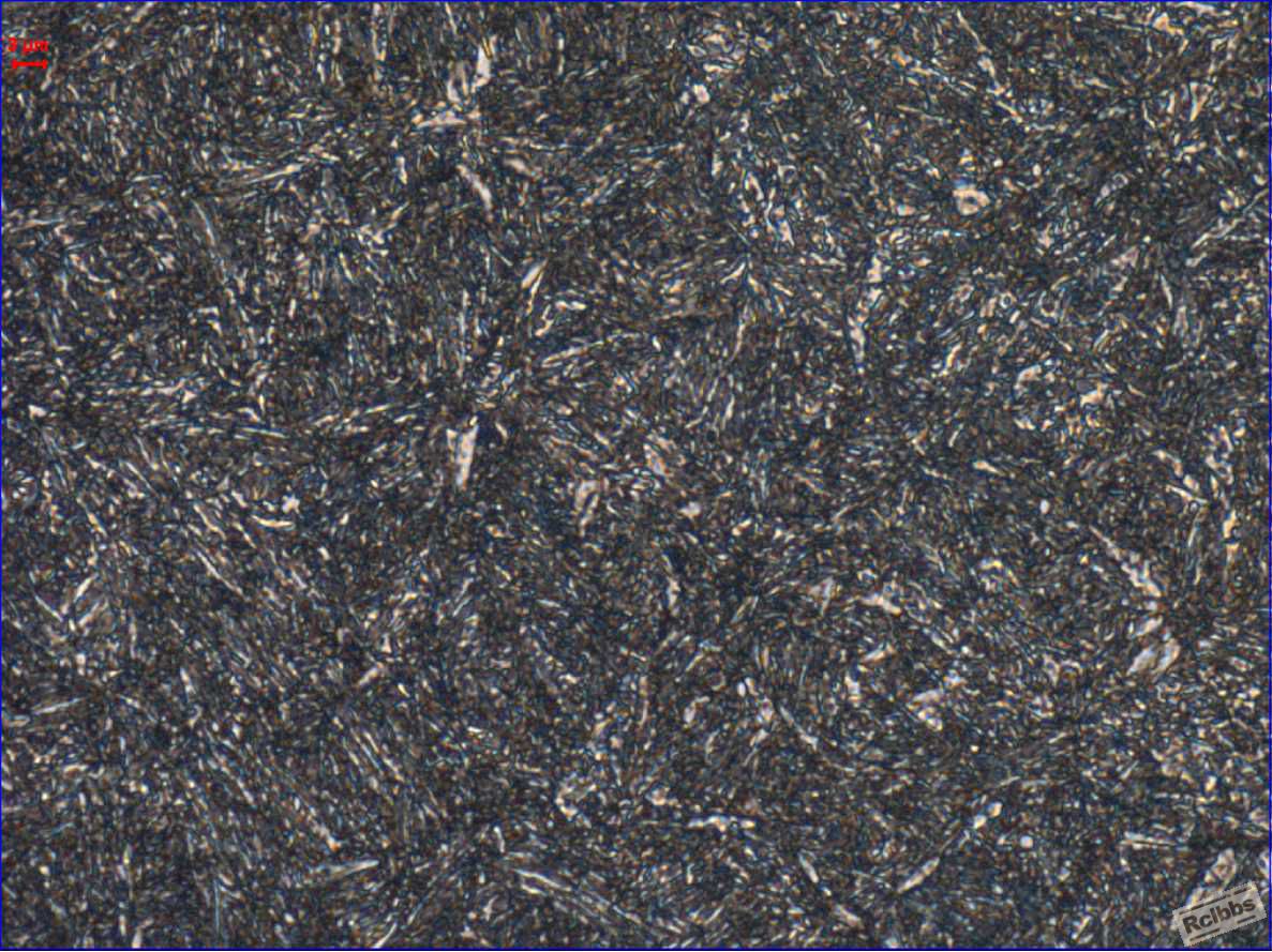 500X SK5.jpg