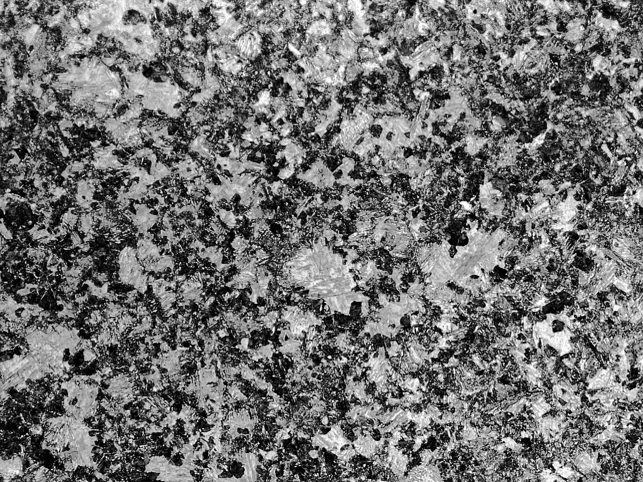 淬火 低温回火-500X（水淬）.jpg