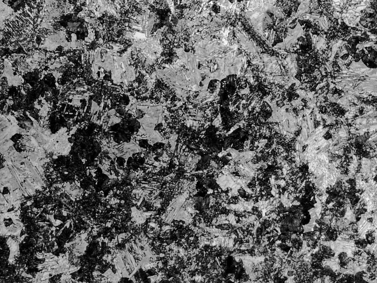 淬火 低温回火-1000X（水淬）.jpg