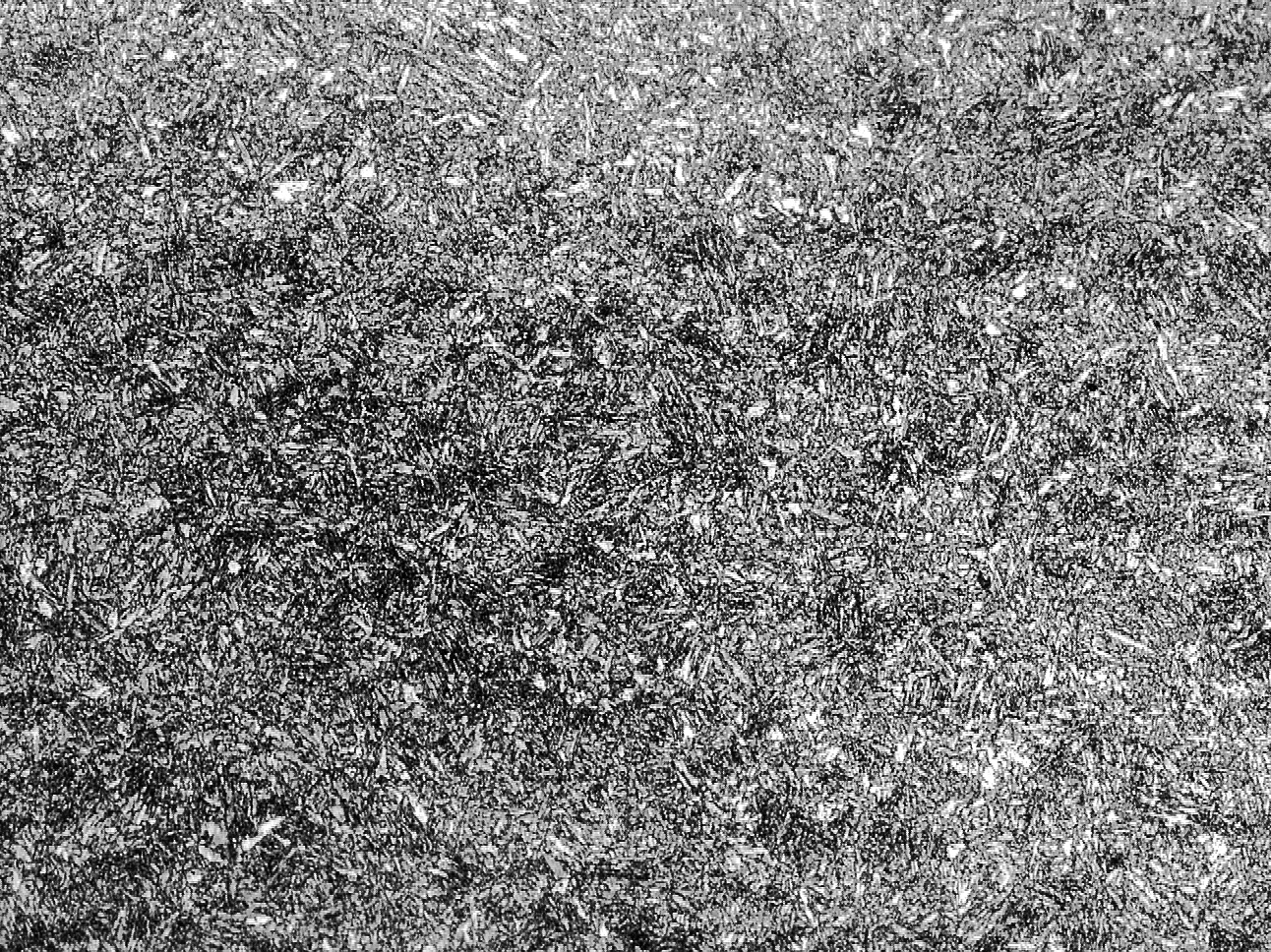 淬火 高温回火-500X（水淬）.jpg