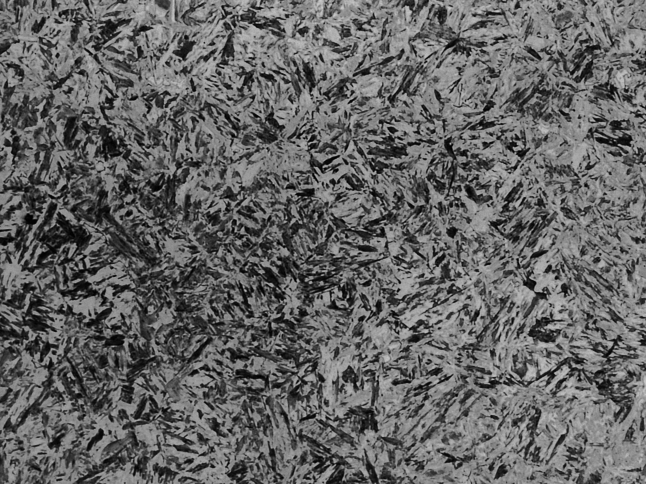 淬火-1000X(水淬).jpg
