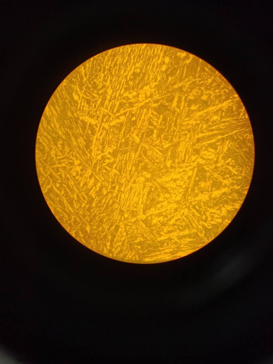 500X组织如下-2