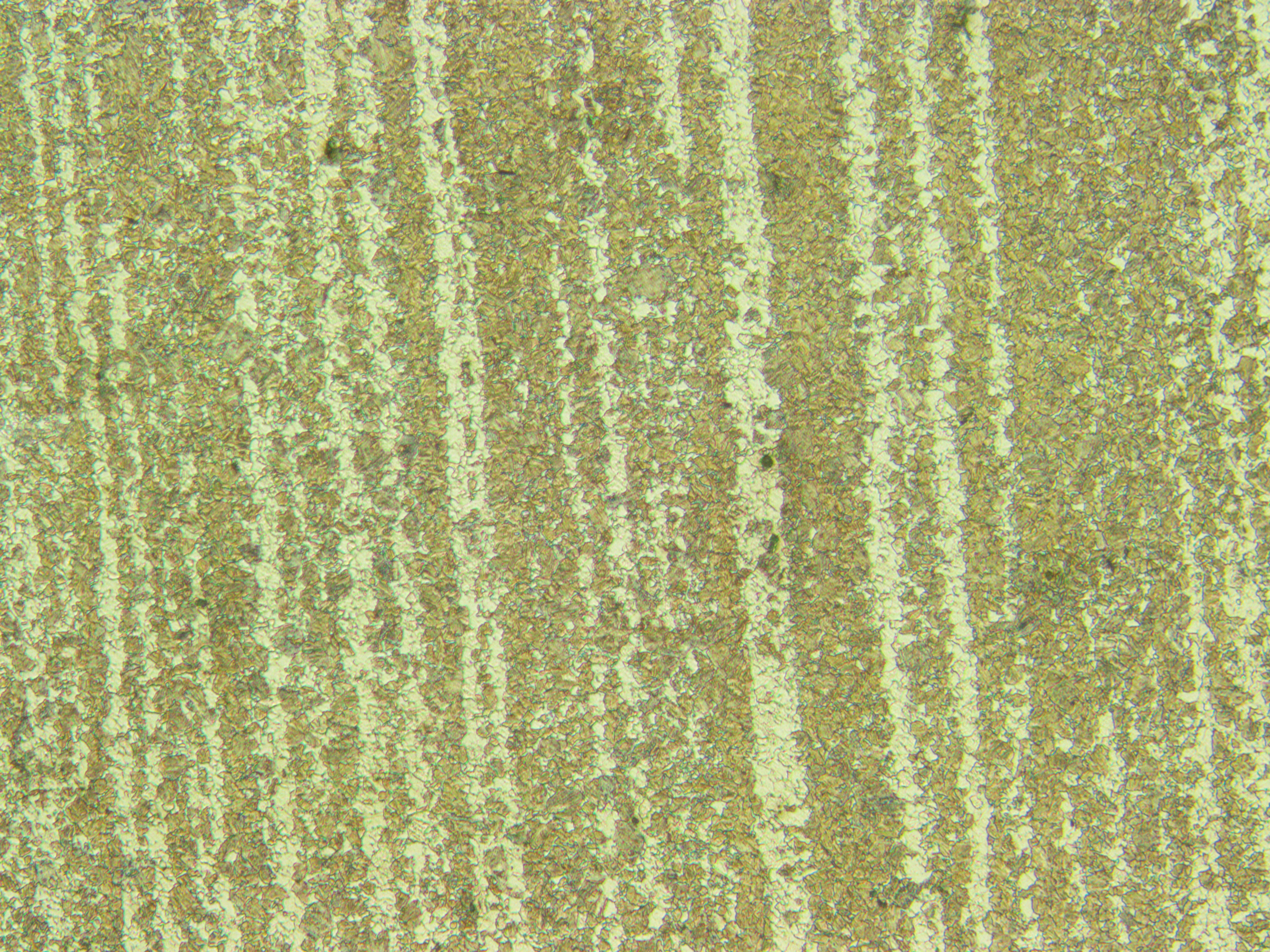 7393004-100-1.JPG