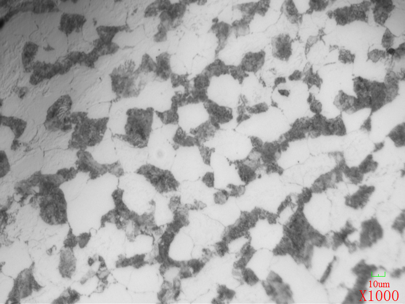 正火实验-20CrMo-23.0X3000-910℃正火-空冷-X1000-中部.jpg