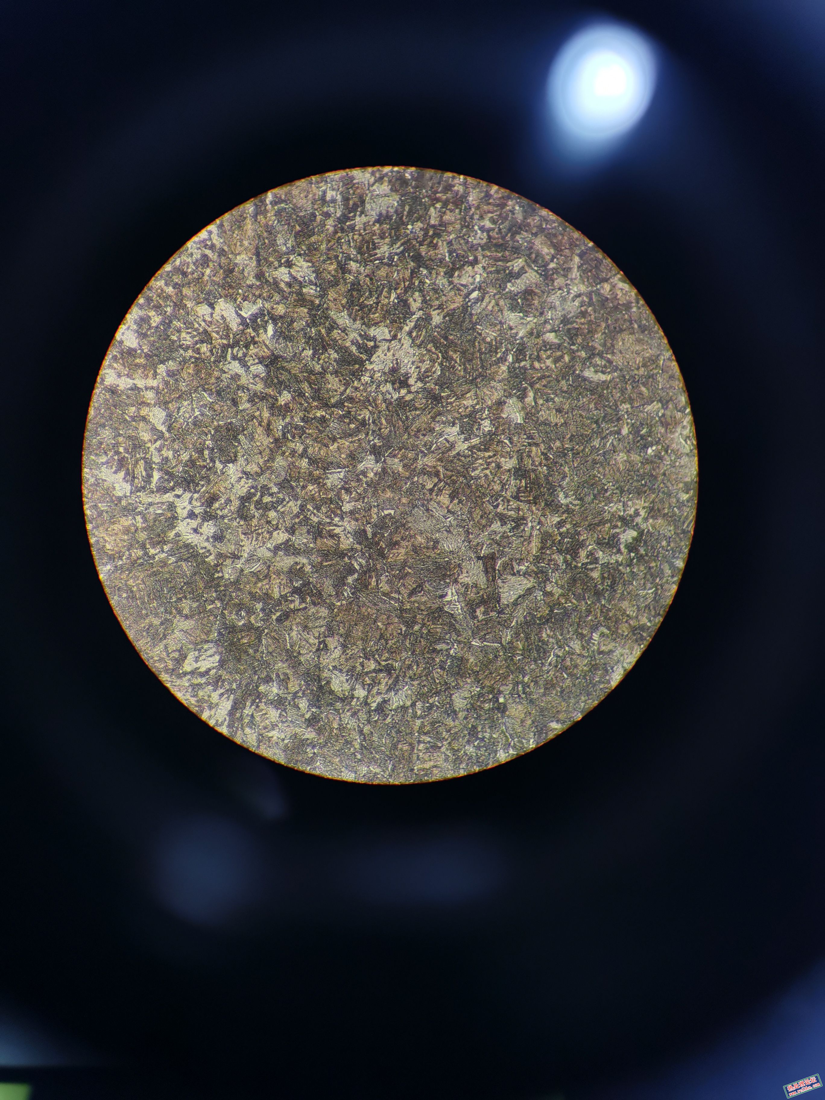 芯部组织，400x