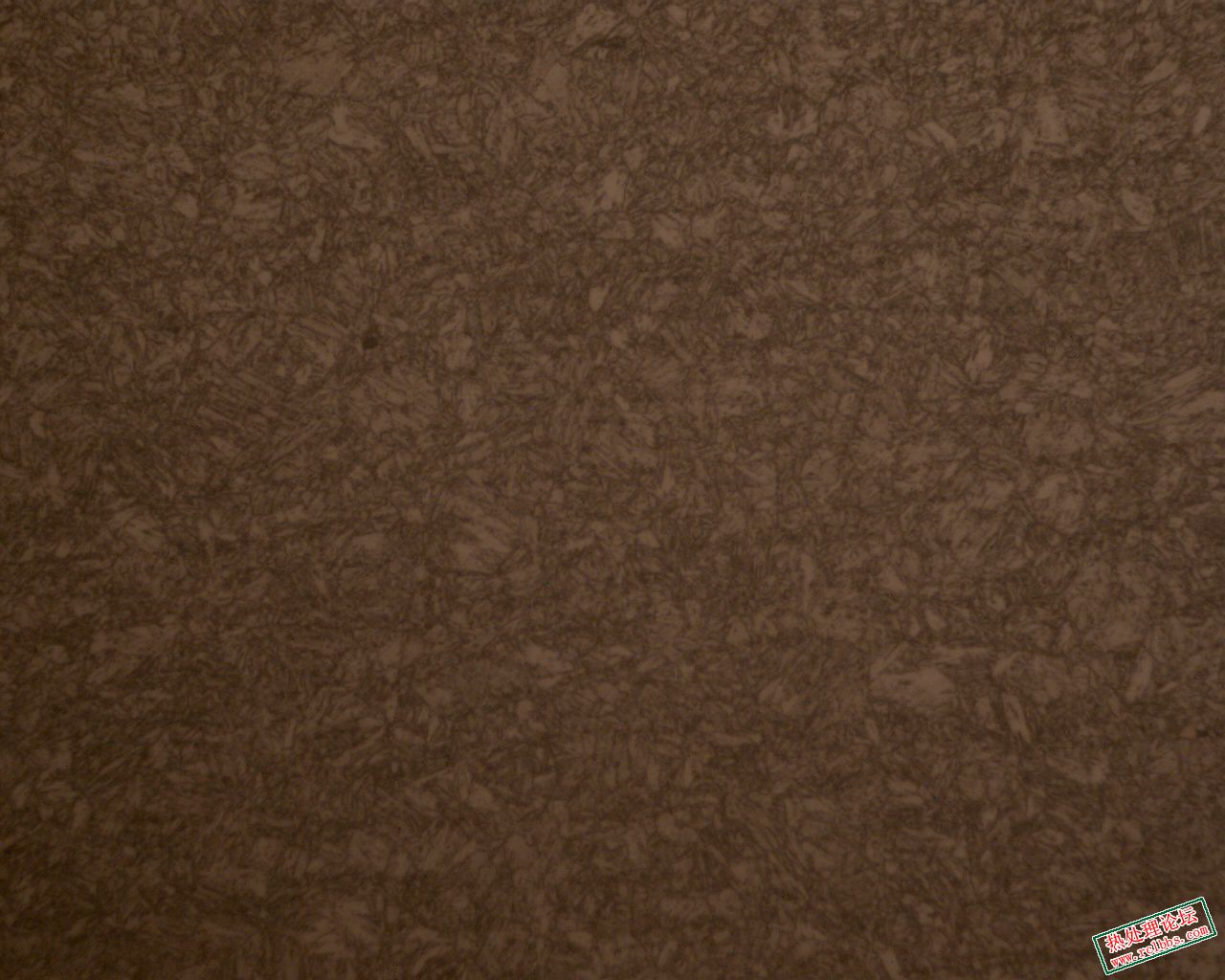 500X.jpg