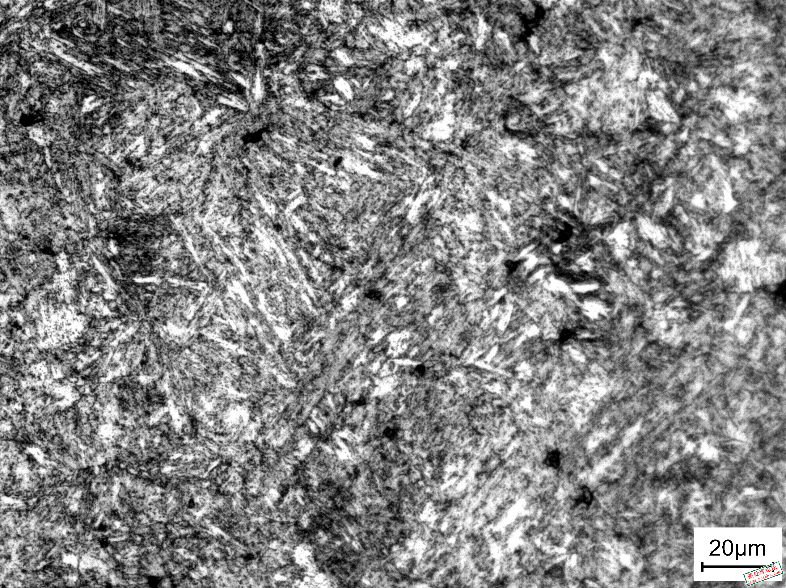 SNAP-0612-00007.jpg