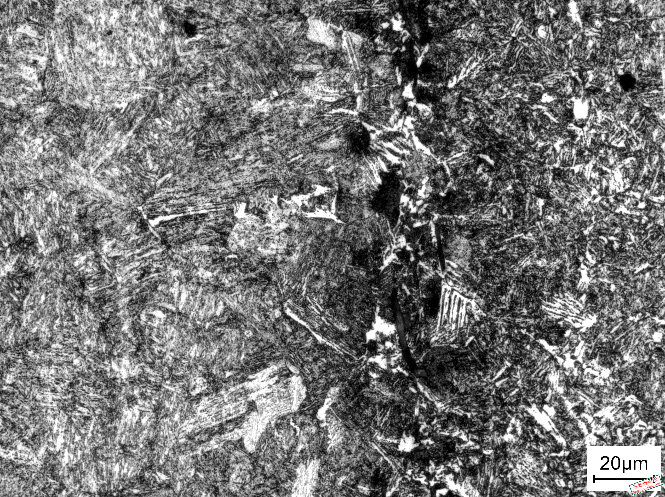 SNAP-0612-00009.jpg