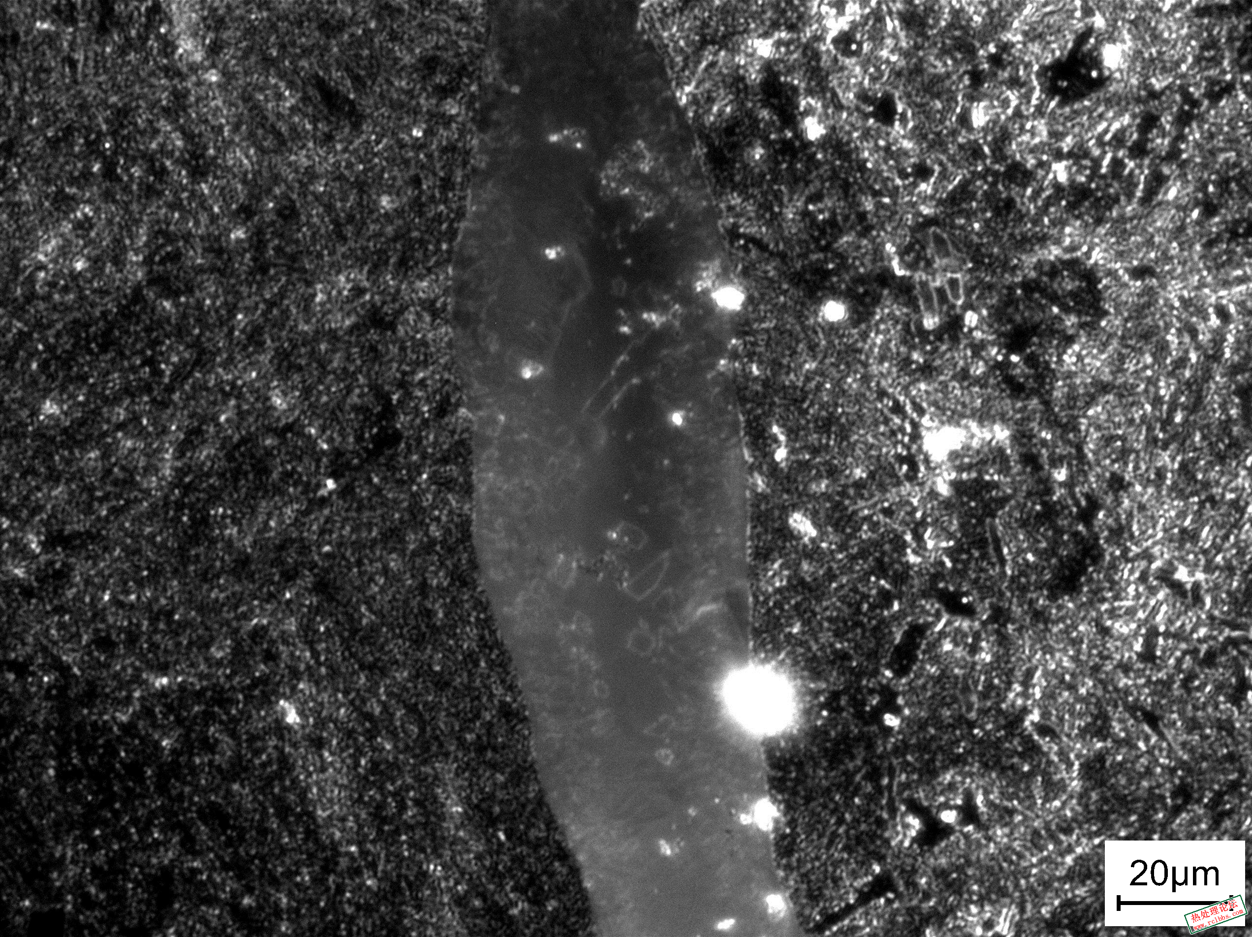 SNAP-0612-00016.jpg