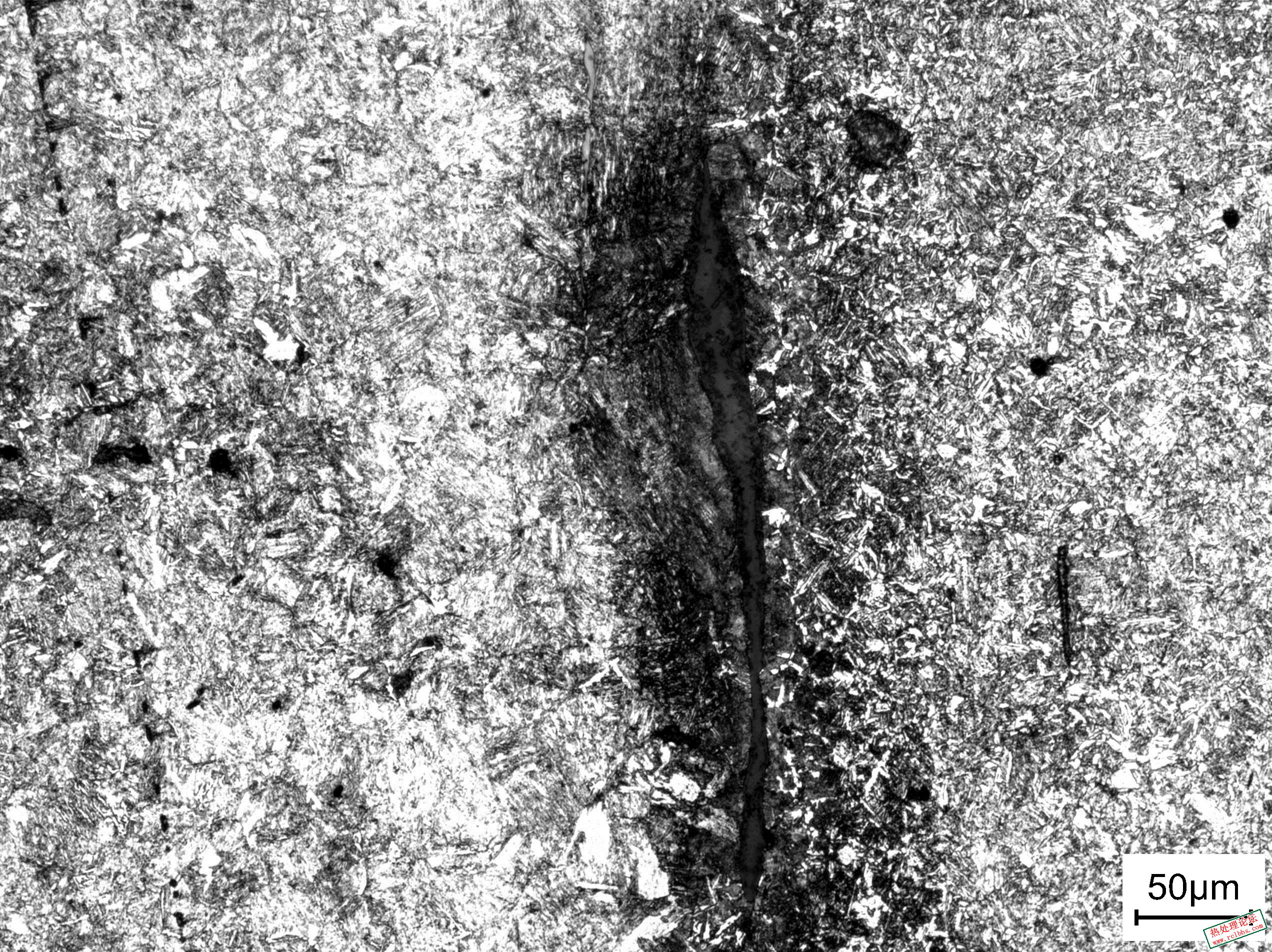 SNAP-0612-00017.jpg