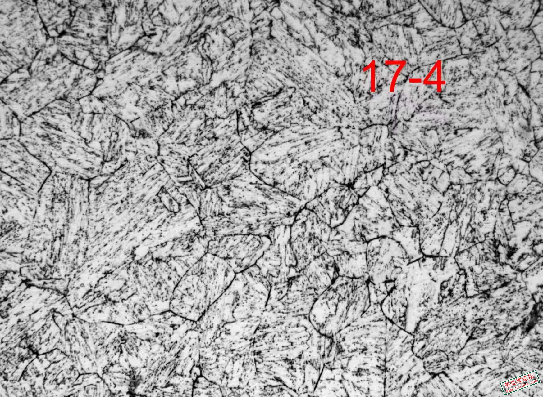 mmexport1772020126242.jpg