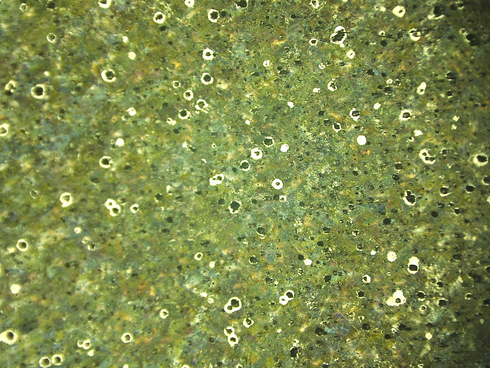 07081601.jpg