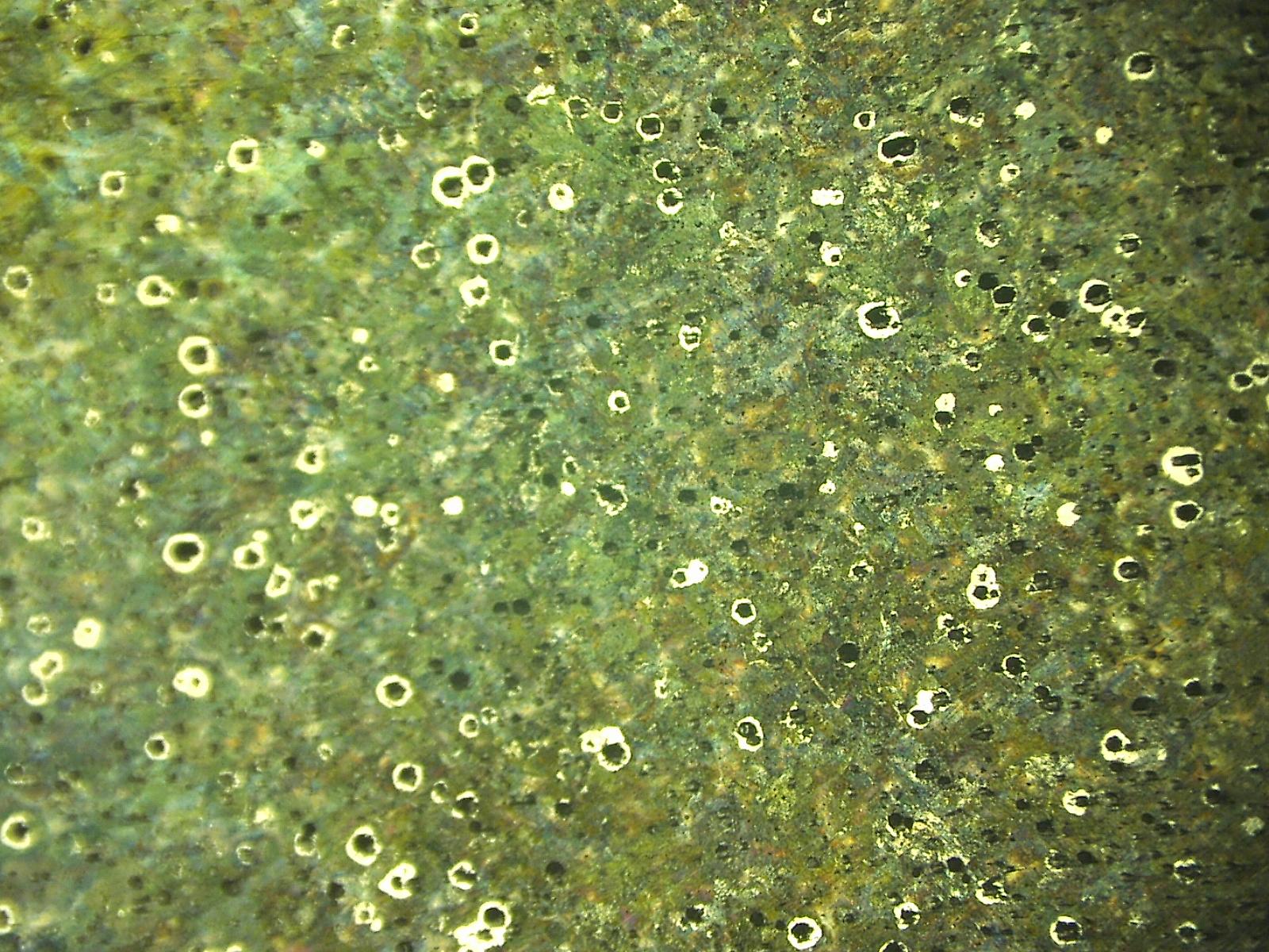 07081603.jpg
