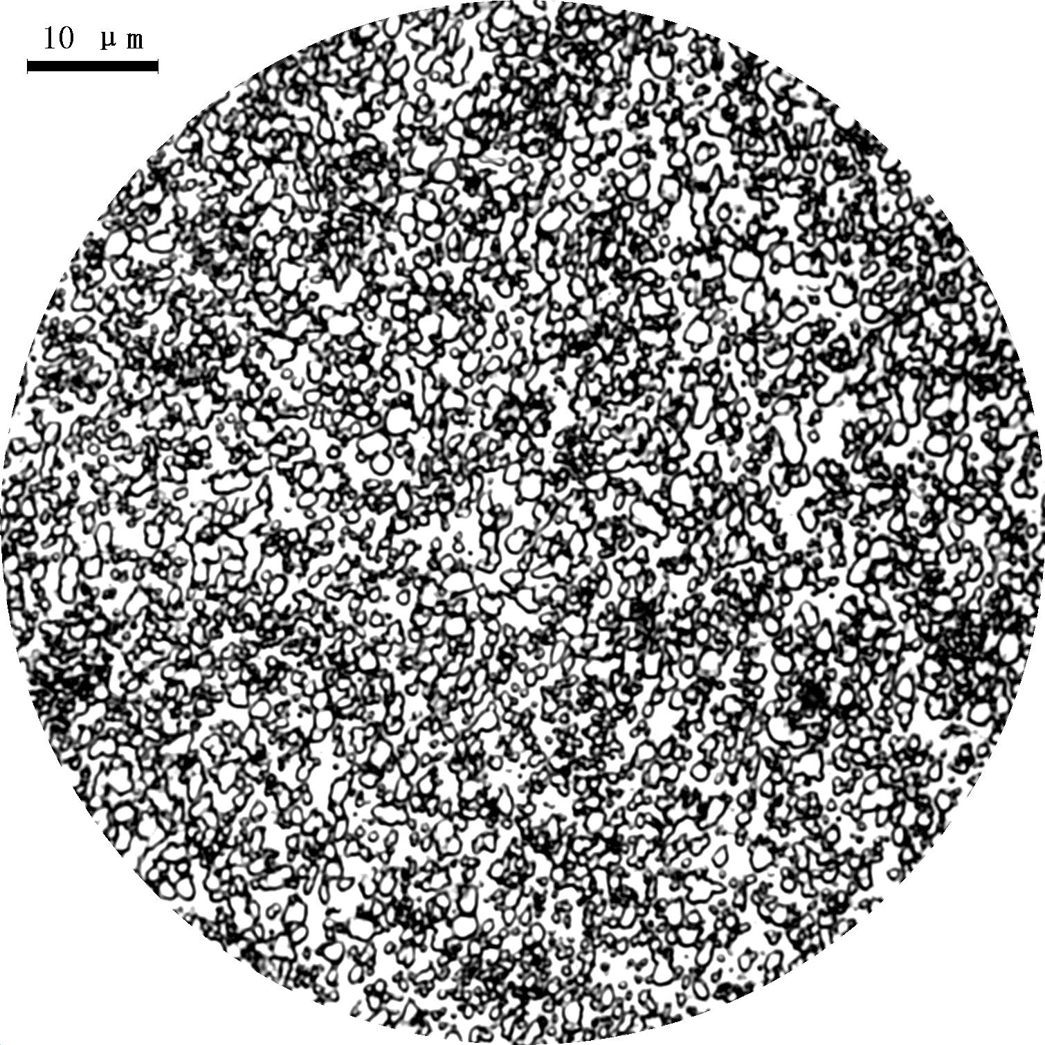 01g-1000x.JPG
