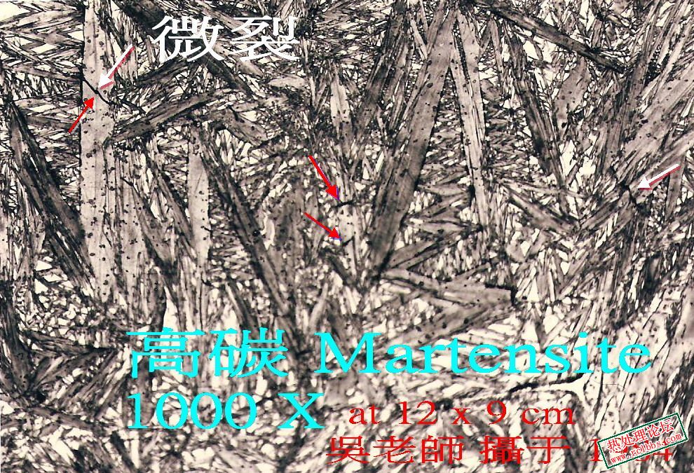 Hi C% M 2.jpg