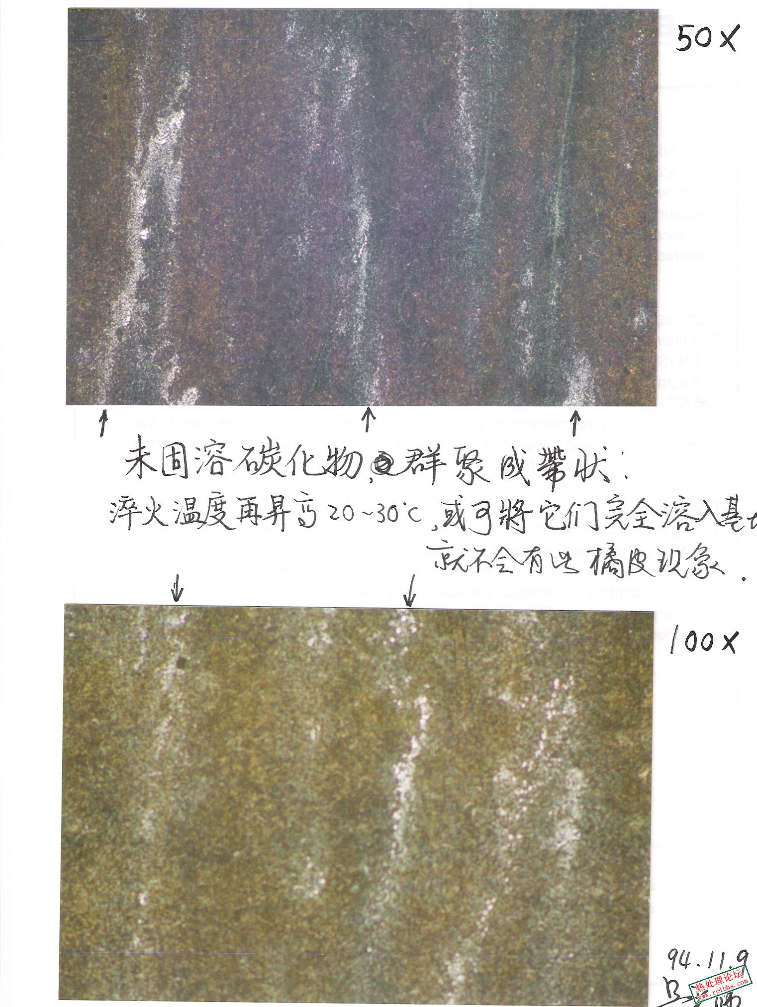 掃描0005.jpg