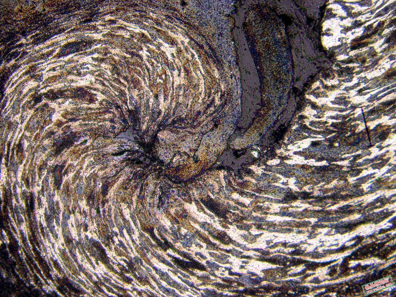 spiral 3.JPG