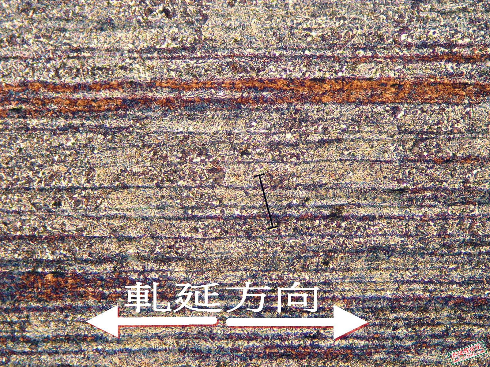 P1013136.jpg
