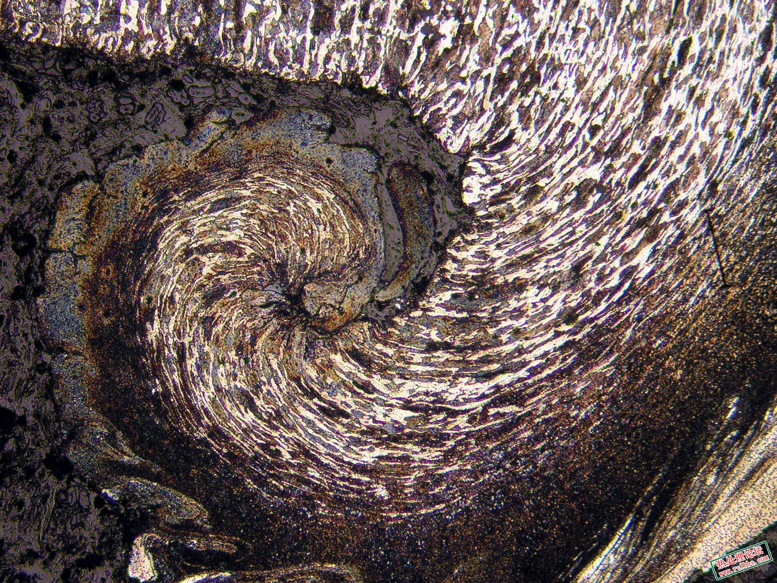 Spiral 2.JPG