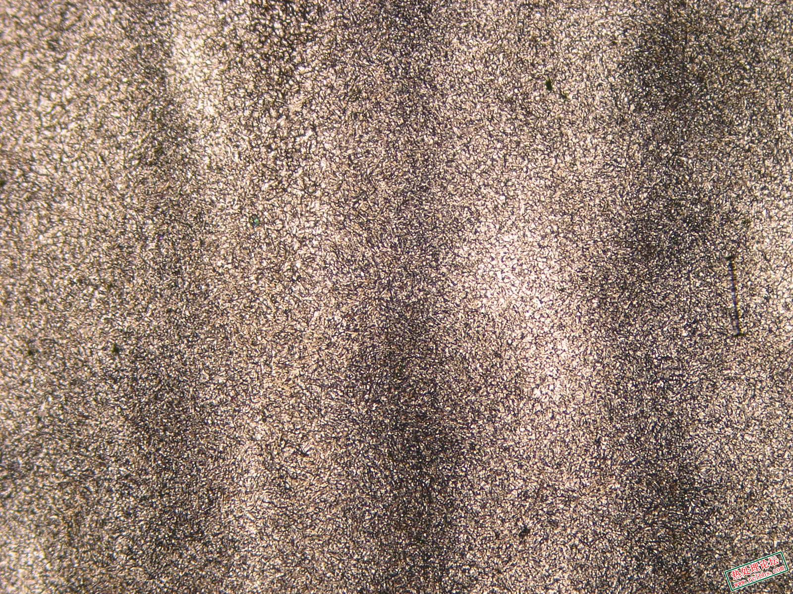 皮A1.JPG