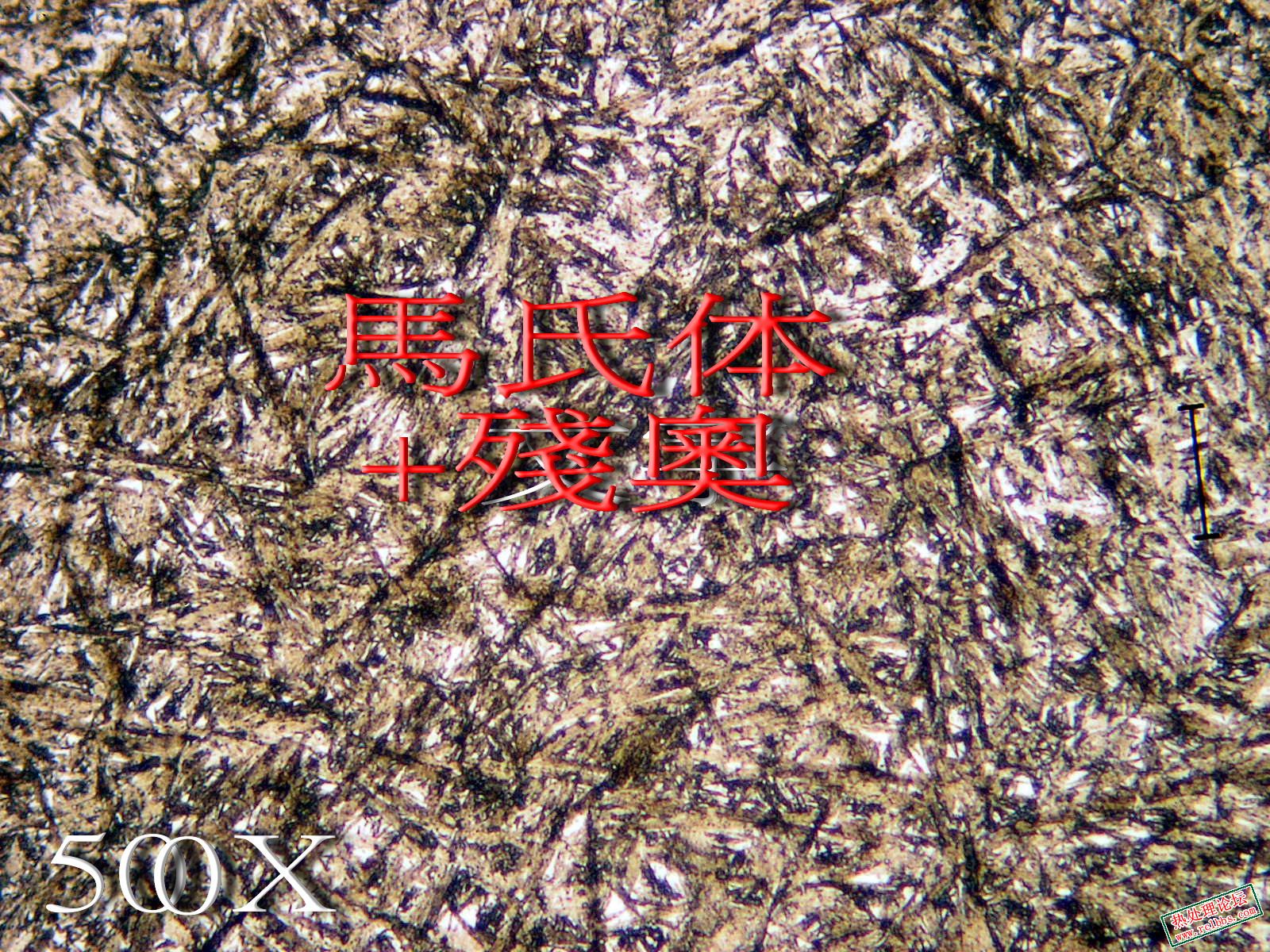 內D.jpg