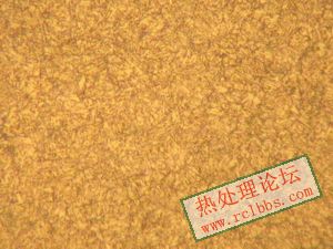  B55SiCr淬回火 400X