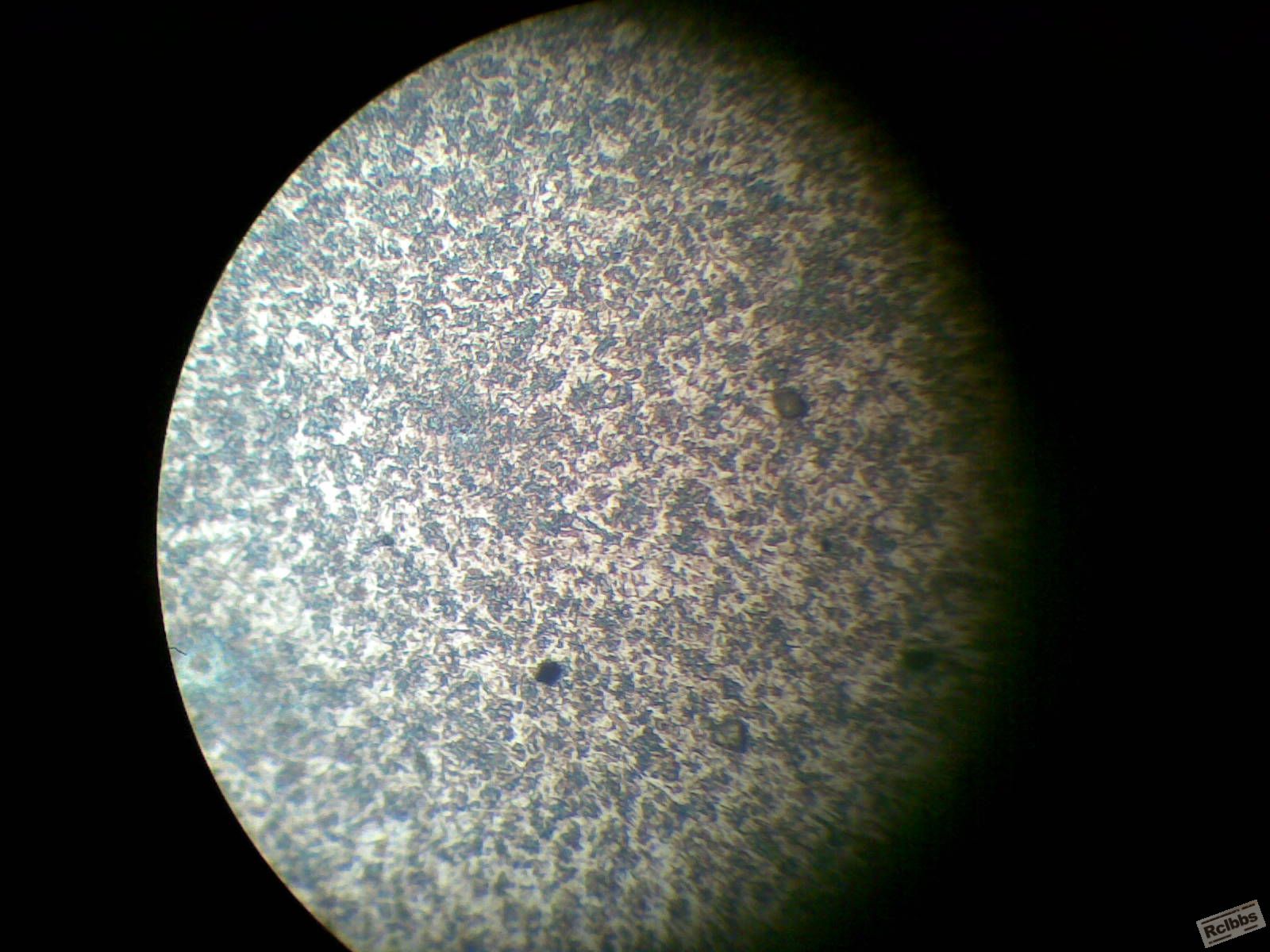 20081123.jpg