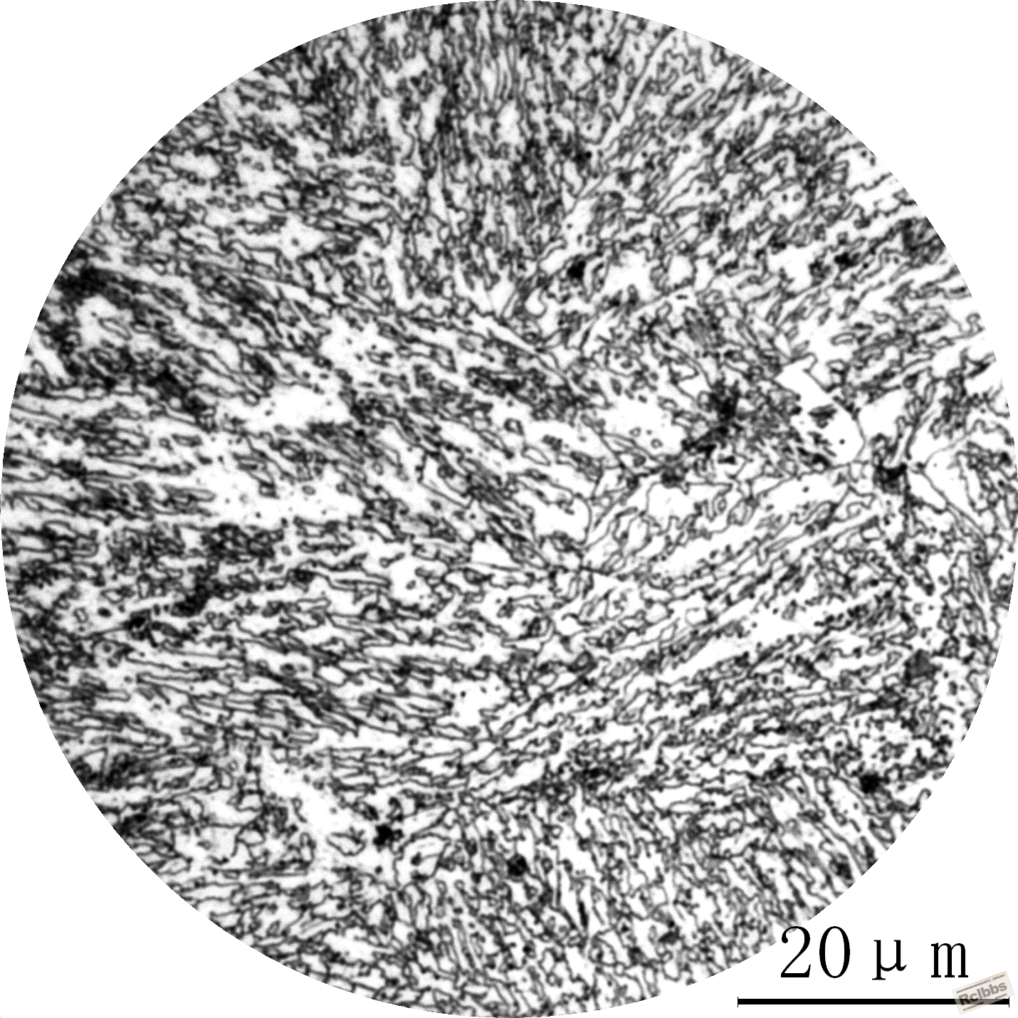 1000X,下同