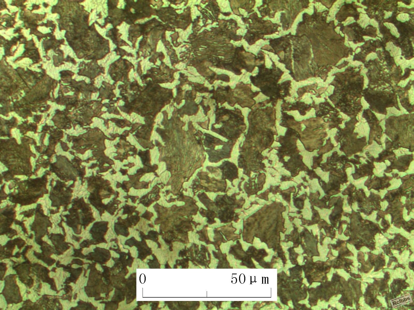 2008-8-28-400-03.jpg