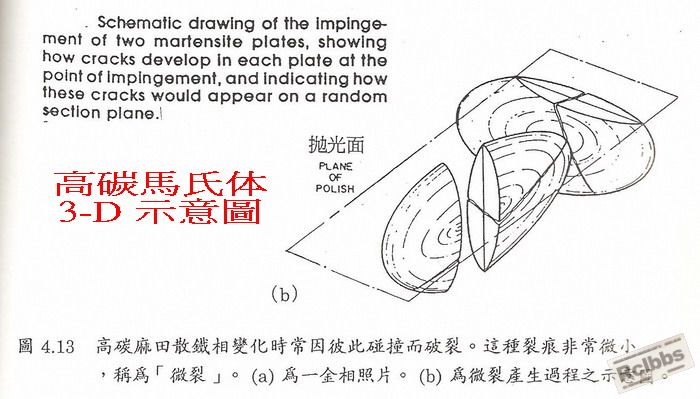 Lenticular M.jpg