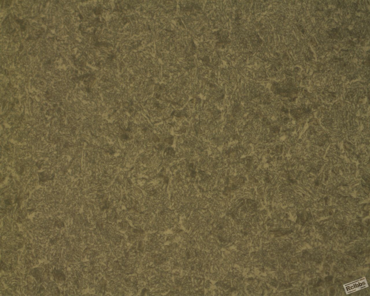 NOR_500X.jpg